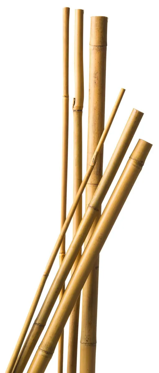 Bambusz Virágkaró 100cm