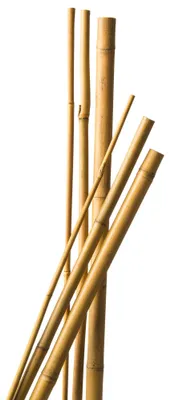 Bambusz Virágkaró 100cm